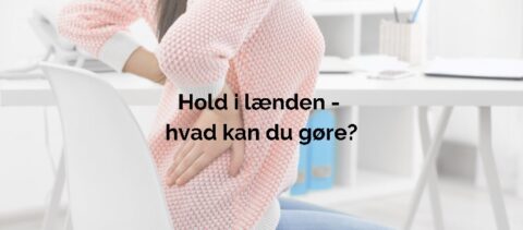 Hold i lænden